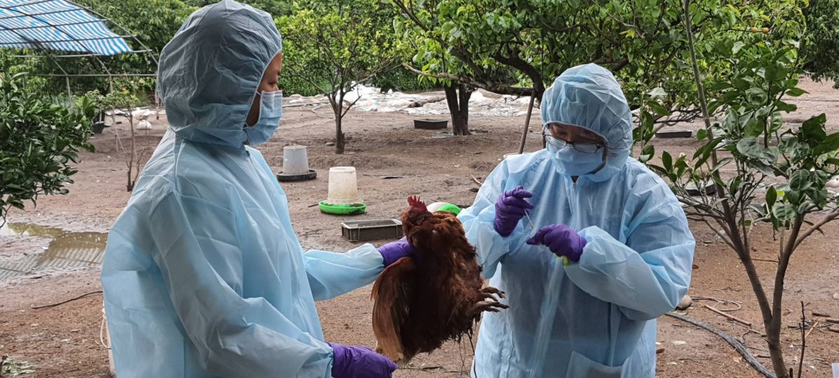 ▲竹市動保所接獲疑似禽流感個案通報，進行採樣送驗及環境清消。（圖／新竹市政府提供）