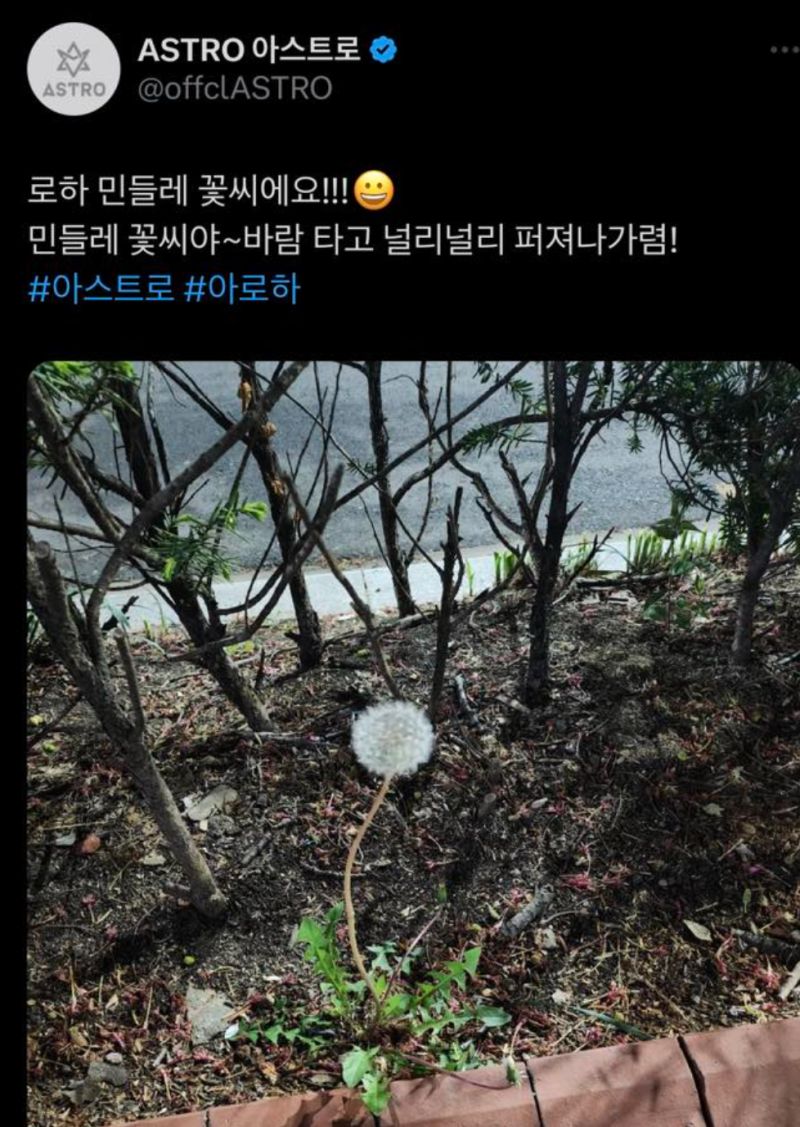▲▼文彬生前最後一篇貼文，是在4月11日於ASTRO官方推特發出的蒲公英照。（圖／翻攝推特）