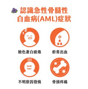 急性骨髓性白血病 ▲急性骨髓性白血病