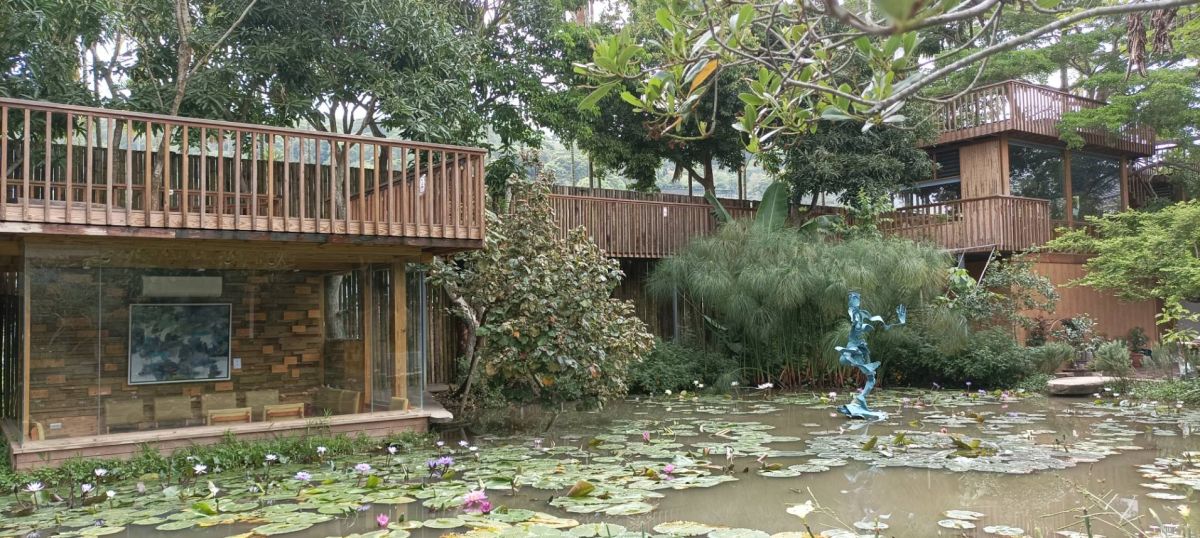 ▲台中新社雅園溏大量保留自然生態，4、50年的樹木環繞荷花池(圖／雅園溏提供)