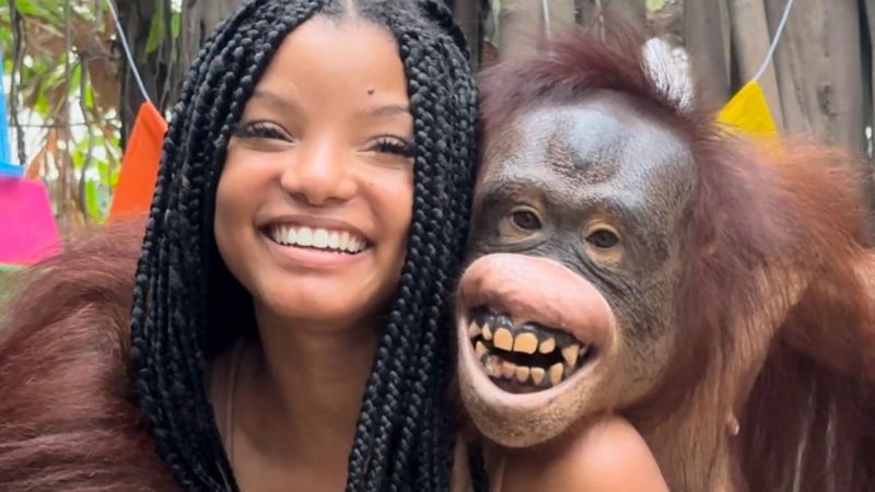 ▲因飾演《小美人魚》女主角的海莉貝利，日前到泰國知名動物園跟猩猩互動拍照，遭到動保人士痛罵是在支持虐待動物，引發爭議。（圖／翻攝海莉貝利IG）