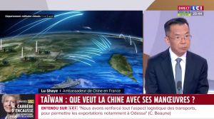 ▲中國駐法大使盧沙野，21日晚間接受法國LCI電視節目專訪時提到，「台灣命運由中國人決定」，之後又暴走反嗆提問記者「沒唸過書」。（圖／翻攝自@LCI的推特影片截圖）