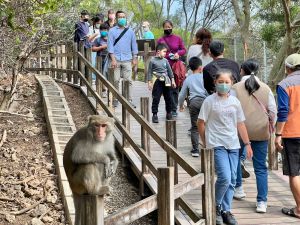 獼猴不FOLLOW　壽山動物園推教6妙招
