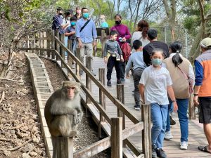 獼猴不FOLLOW 壽山動物園推教6妙招