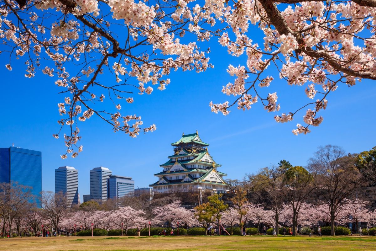 ▲雄獅旅遊線上旅展開跑，歐洲長線最高「現折12000元」、自由行「下殺55折」、日本周遊券或一日乘車券「買1送1」。（圖／晶華酒店提供）