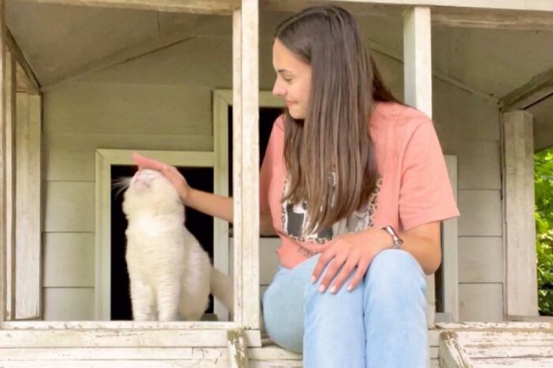 ▲美國女子茱莉亞在新家花園中發現一隻漂亮白貓。（圖／coopkitties.com）