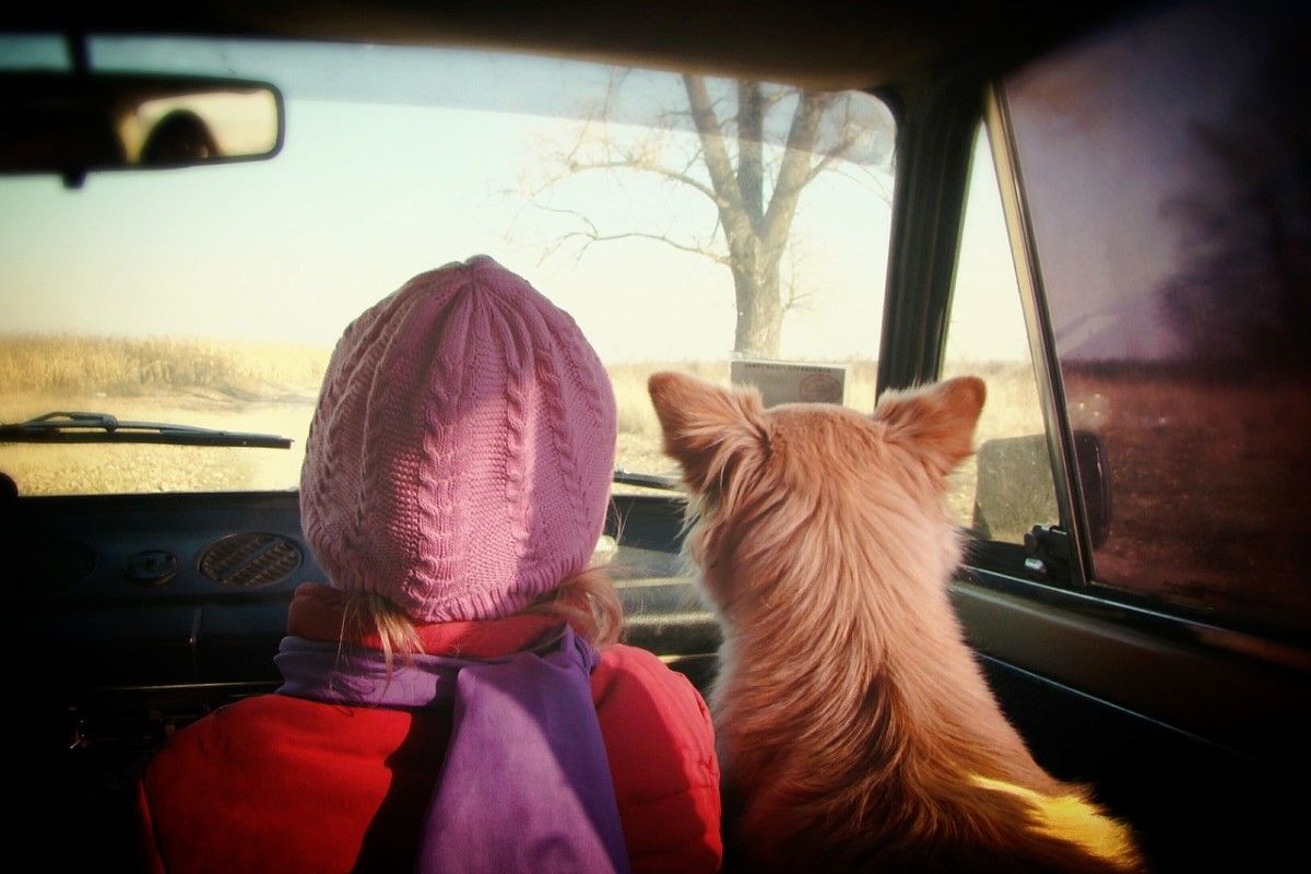 ▲網友發起「人類對狗來說是什麼？」的討論。（示意圖／Pixabay）