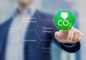 碳交易平台將成立　環境專家揭露碳權氾濫、產業受阻等潛在挑戰
