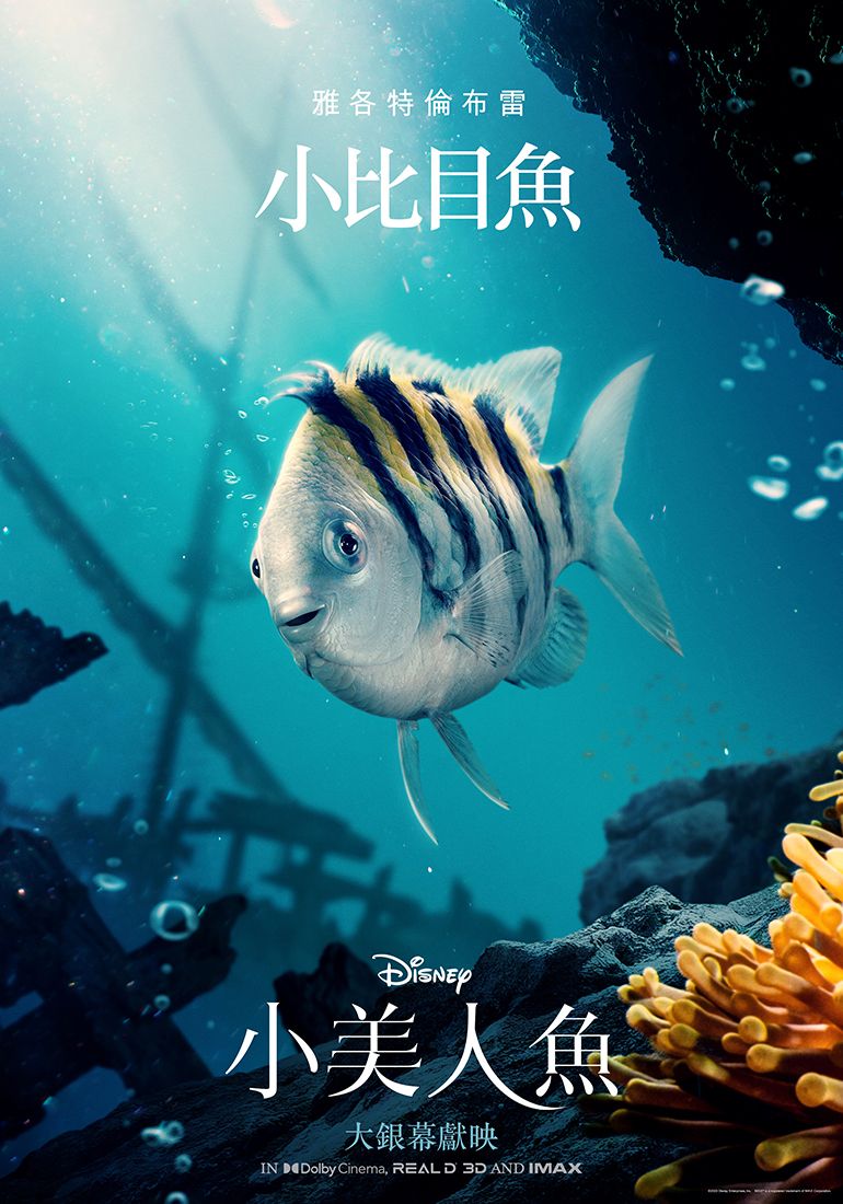 ▲《小美人魚》雅各特倫布雷飾小比目魚。(圖/迪士尼)
