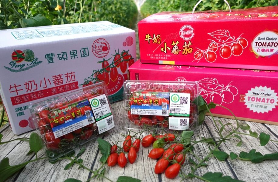 ▲ 水上知名果園「豐碩果園」。（圖／嘉義縣政府）