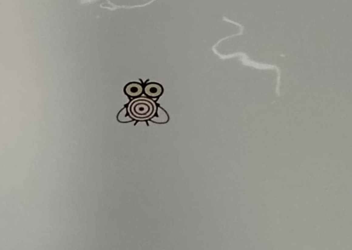 ▲男廁的小便斗中有蒼蠅貼紙，其真實用途為何呢？（圖/爆怨公社）