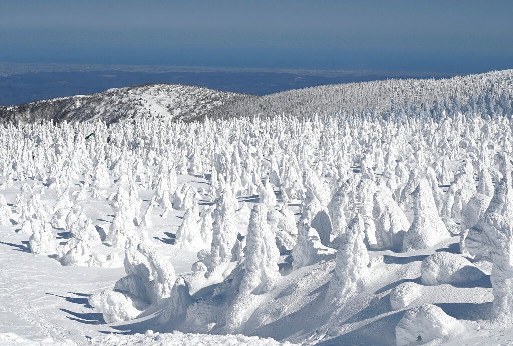 ▲海外遊客在日本鄉村地區的消費支出增長。圖為藏王樹冰。（圖／美聯社／達志影像）