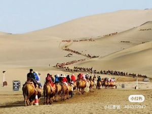 中國五一連假遊客爆滿！敦煌驚現「塞駱駝」　沙漠還擺紅綠燈
