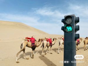 ▲中國五一連假民眾紛紛出遊，甘肅敦煌風景區為了避免「塞駱駝」的情況還在沙漠擺出紅綠燈。（圖／翻攝自小紅書）