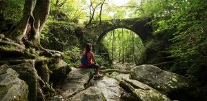 ▲礁溪晶泉丰旅即日起推出「森山淨行。迎春」住宿專案，帶領旅客走入自然，體驗「無痕健行」綠色旅遊方式，強調保持山林的環境原貌，不留下任何痕跡。（圖／礁溪晶泉丰旅提供）