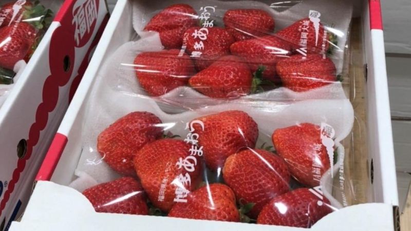 ▲日本草莓被檢出農藥殘留超標，不符合使用規定。（圖／食藥署）
