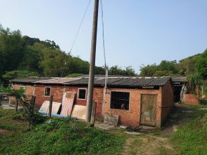 新埔鎮旱坑查獲狗場不當飼養 竹縣防疫所限一周內改善飼養環境