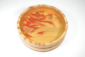 ▲日本的金魚繪師深堀隆介運用壓克力樹脂技術繪製出栩栩如生的金魚（圖／奇美博物館提供）