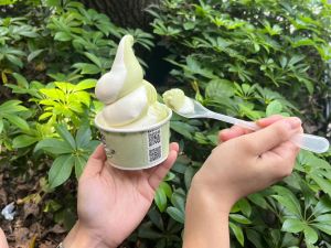 全家白葡萄霜淇淋口味上市。(圖/記者鍾怡婷攝) ▲全家白葡萄霜淇淋口味上市。(圖/記者鍾怡婷攝)