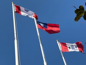▲中鋼公司續朝綠色鋼廠之路邁進。(圖/記者黃守作攝) ▲中鋼公司續朝綠色鋼廠之路邁進。(圖/記者黃守作攝)