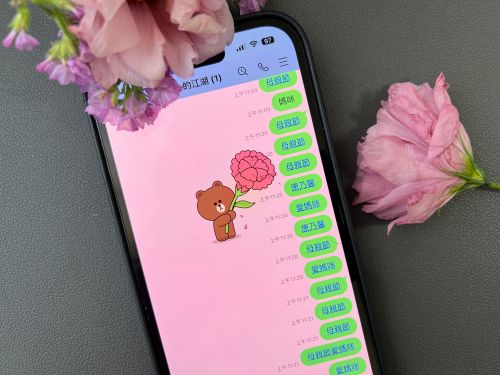 ▲今(10)天開始到5/15在LINE聊天室輸入「母親節、康乃馨、愛媽咪」任一組關鍵字，就能召喚出燦爛又可愛的熊大送康乃馨特效。(圖／記者周淑萍攝)