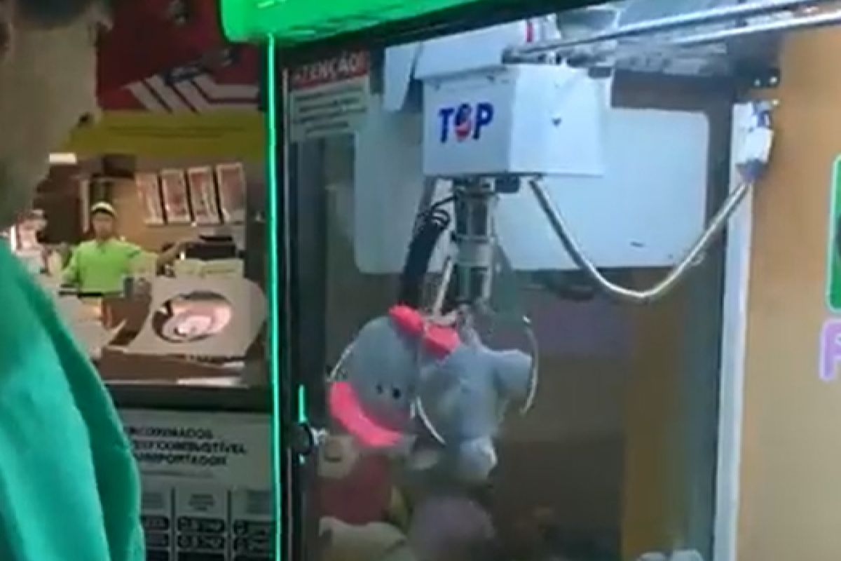 ▲巴西夫妻玩夾娃娃機時抓到大象娃娃，沒想到下方洞口卻走出一隻橘貓。（圖／Twitter：blabla112345）