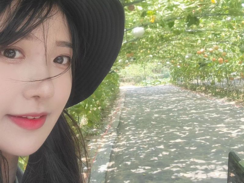 ▲▼企鵝妹環台兩個多禮拜,已經走了400多公里。(圖/翻攝自企鵝妹IG)