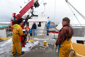 俄羅斯漁業遭制裁！挪威帝王蟹狂銷歐洲　每隻可賣200歐元
