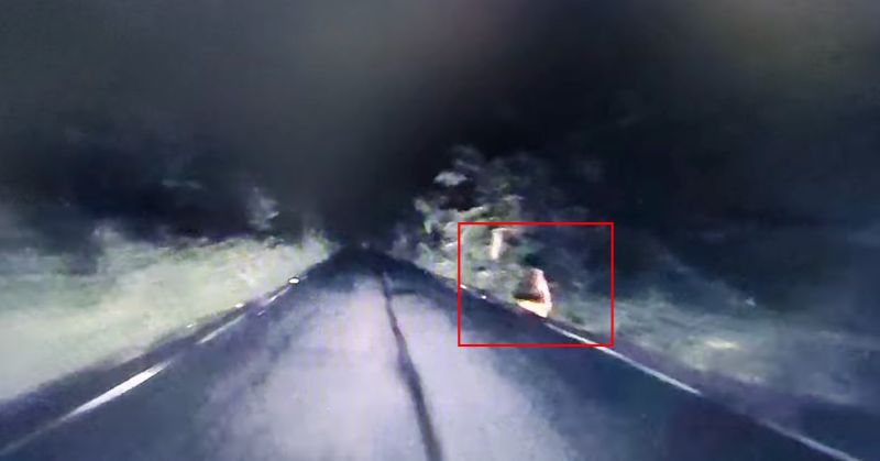 ▲台東有網友日前凌晨行經產業道路時，發現有半裸女子半蹲在路邊，畫面超詭異。（圖/台東大小事）