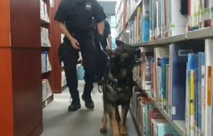 國立台灣圖書館遭恐嚇「放6顆炸彈」！警攜偵爆犬封館清查
