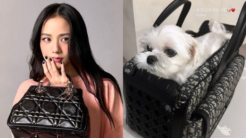 ▲Jisoo為了慶祝愛犬生日快樂，特別送了一款要價500萬韓元的精品包包當作禮物，讓所有粉絲通通看傻，羨慕嗨喊：「我也想當狗狗了！」（圖／Jisoo IG）