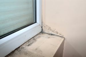 ▲信義房屋提醒，窗邊也是漏水好發區之一，內外牆問題都可能引起雨水滲入屋中。（圖／資料照片）