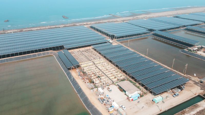 ▲雲豹能源位於台南北門的大型戶外漁電共生案場。（圖／朱永強攝）