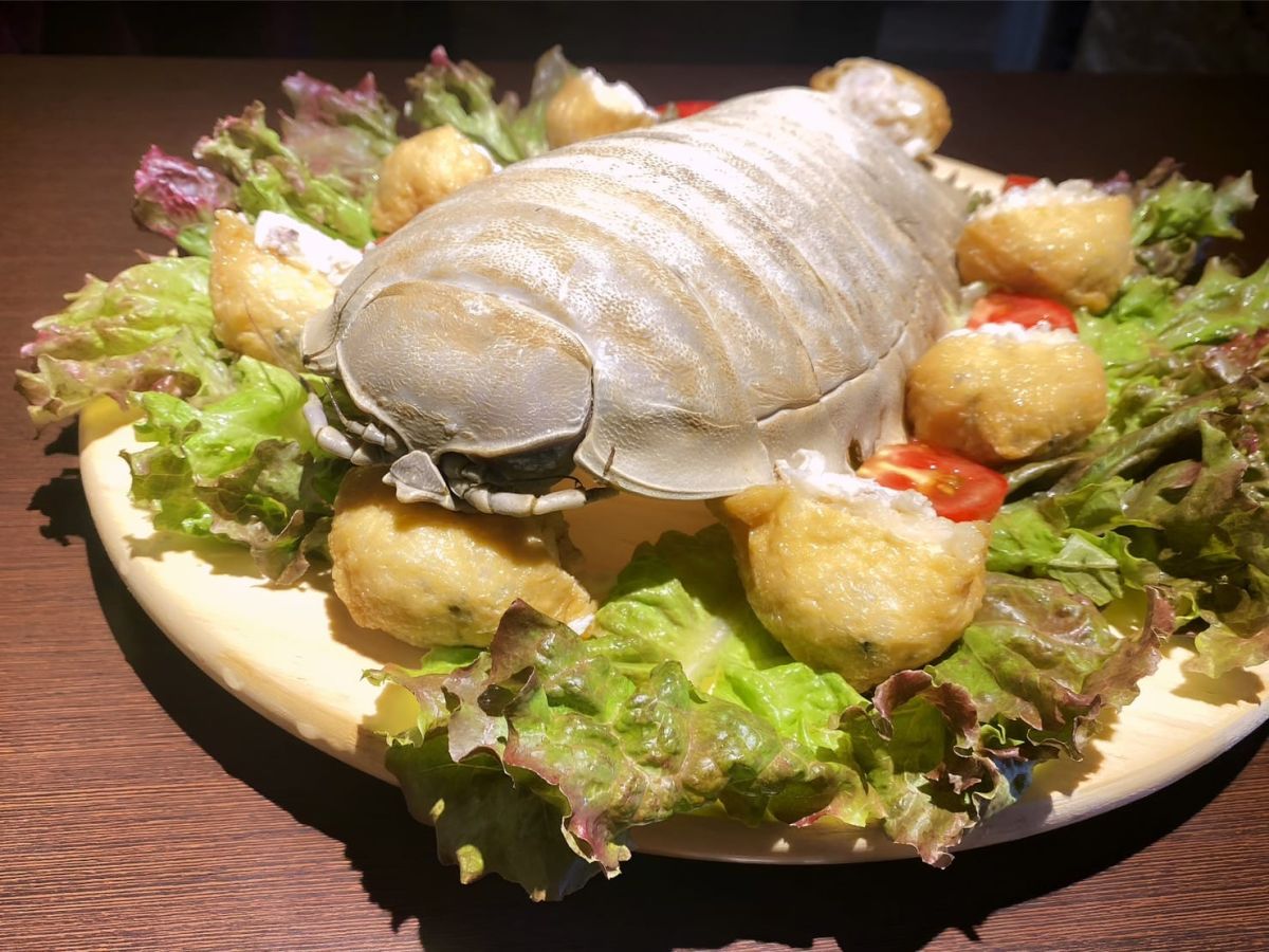 ▲大王具足蟲口感極甜，不少民眾想試卻被高價給嚇退。（圖／Jacky Bistro預約制餐酒館授權）