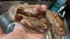 ▲可以看到胃裡很多小魚和奇怪東西。(圖/Jacky Bistro預約制餐酒館授權) ▲可以看到胃裡很多小魚和奇怪東西。(圖/Jacky Bistro預約制餐酒館授權)