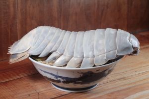 ▲業者說碗上的整隻大王具足蟲殼是作為裝飾用，沒有將其拿來熬湯。（圖／翻攝拉麵公子臉書）