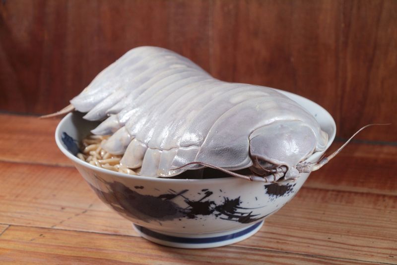▲大王具足蟲近來接連被拿來包壽司、做拉麵，變成台灣人的盤中飧。（圖／翻攝拉麵公子臉書）
