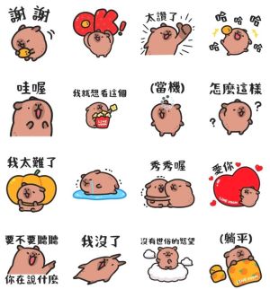 ▲LINE VOOM × 小水豚免費貼圖 ▲免費貼圖「LINE VOOM × 小水豚」。(圖/取自LINE)