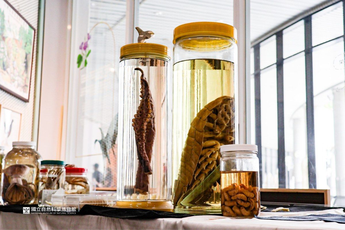 ▲大王具足蟲是深海環境中重要的食腐動物。（圖／翻攝科博館臉書，2023.05.23）