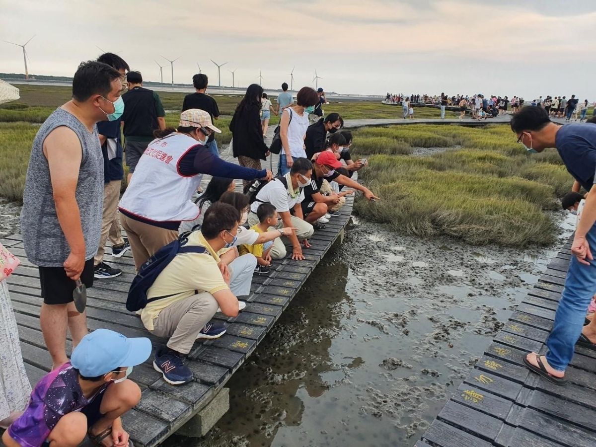 ▲體驗高美濕地豐富的生態之美，5月29日起接受報名(圖／農業局提供2023.5.24)