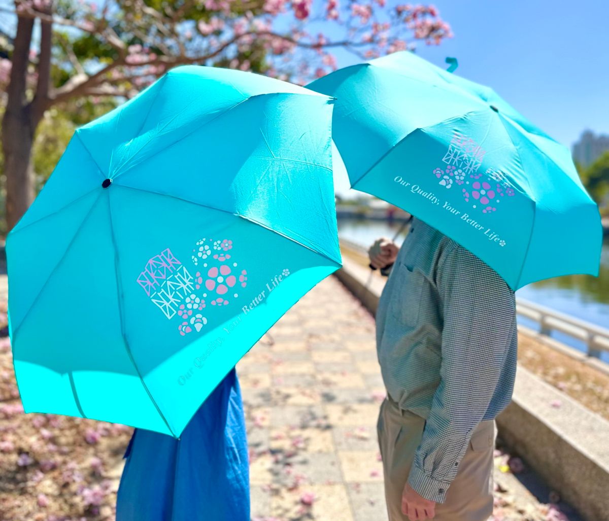 ▲中鋼今天表示，今年股東會紀念品「傘Q」領取踴躍，已從原本65萬份追加訂製到77萬份，原訂26日到28日發放電子投票的此項股東會紀念品，擬先改發兌換券因應。(圖／記者黃守作攝)