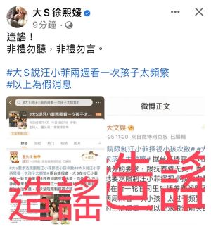▲大S澄清假消息。(圖/大S臉書) ▲大S澄清假消息。(圖/大S臉書)