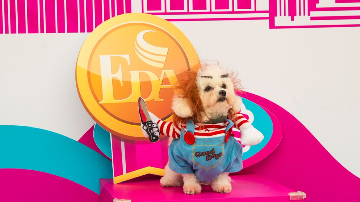 ▲義大Outlet Mall 6/3-6/4舉辦「萌寵義起愛」系列活動。（圖／義大Outlet Mall提供）