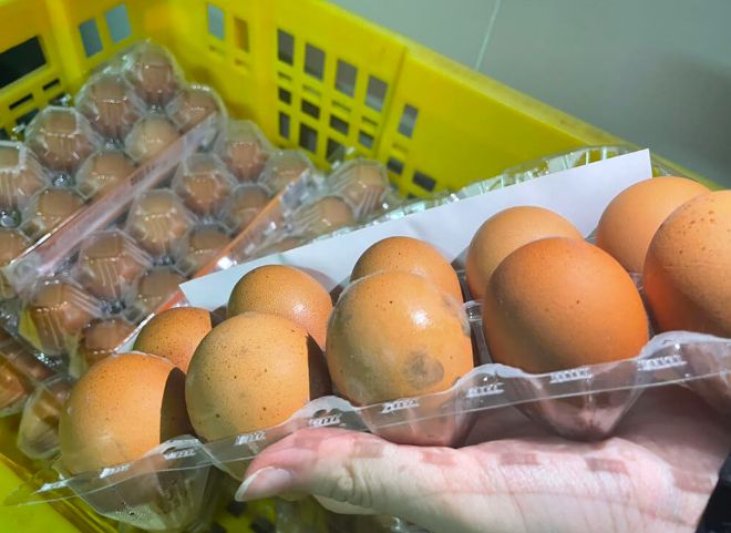 ▲台中市賣場日前出現發霉雞蛋，產地為泰國。桃園市衛生局今天說，在處理洗選的公司查獲發霉蛋，以及將回收後外殼無發霉的雞蛋再製成未殺菌液蛋銷售等，共依食安法開罰15萬元。（圖／桃園市衛生局提供）