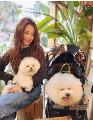 ▲蔡依林現在擁有兩隻愛犬。(圖 /蔡依林IG) ▲蔡依林現在擁有兩隻愛犬。(圖 /蔡依林IG)