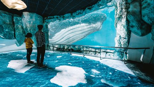 台中海洋館太貴「一家噴2800元」！全台門票1圖看懂　家長激推3間
