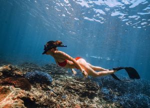 ▲Jocelyn陳宥蓁自由潛水於澎湖海底珊瑚礁。照片提供／STARFiSH星予公關