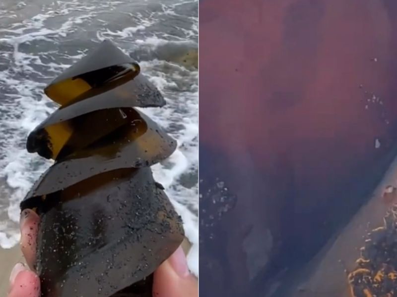 ▲美加州一名女子在沙灘上撿到一個「螺旋鑽頭」，其實是佛氏虎鯊的卵鞘。（圖／翻攝IG_california.shelling）