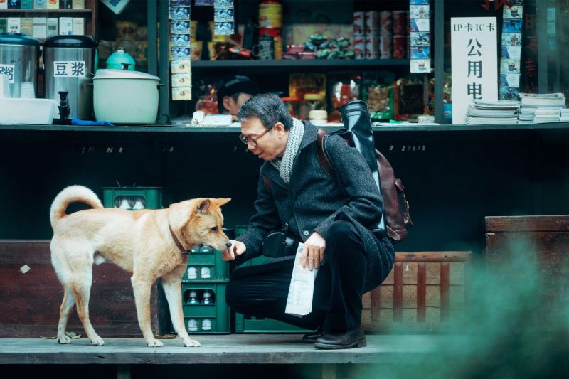 ▲北影神祕場、怪奇片單出爐，馮小剛收養《忠犬八公》觸動人心。（圖／台北電影節）