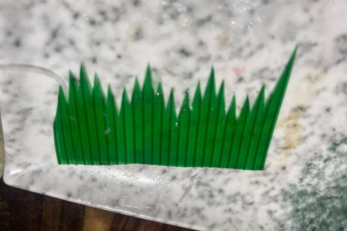 ▲網友好奇每次吃生魚片時，都能看到擺盤有這樣綠色塑膠葉的東西，好奇發問其用途。（圖／翻攝Dcard）